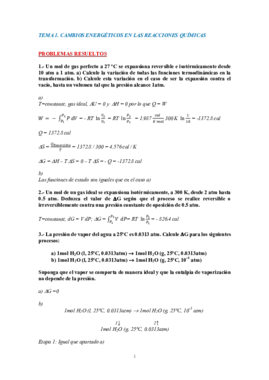 Problemas resueltosTema1.pdf