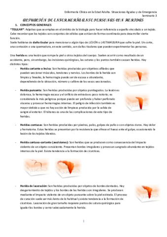 Seminario Heridas..pdf