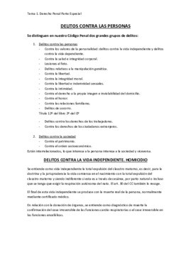 Derecho Penal Tema 1.pdf
