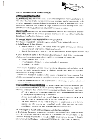 Tema 3 Diversificación.pdf