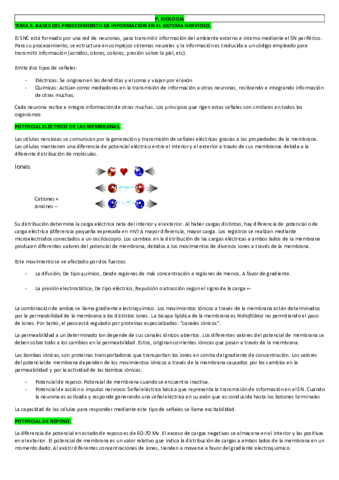 TEMA 5. Bases.pdf