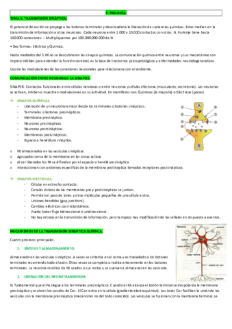 TEMA 6.pdf
