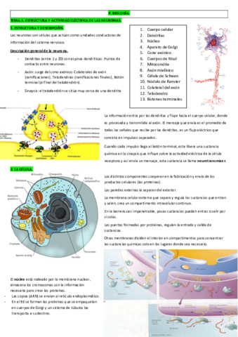 TEMA 5.Estructura.pdf