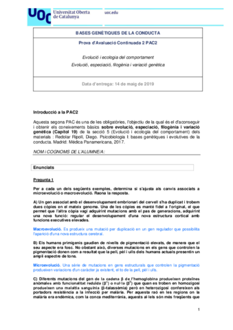 10516_20182_PAC2_SOL.pdf