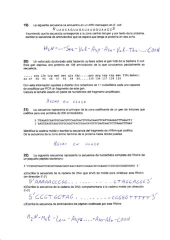 Problemas Resueltos.pdf