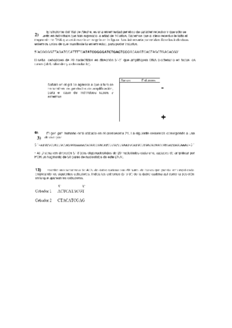Problemas PCR y Secuenciacion.pdf