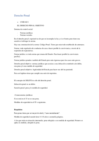 Derecho Penal.pdf