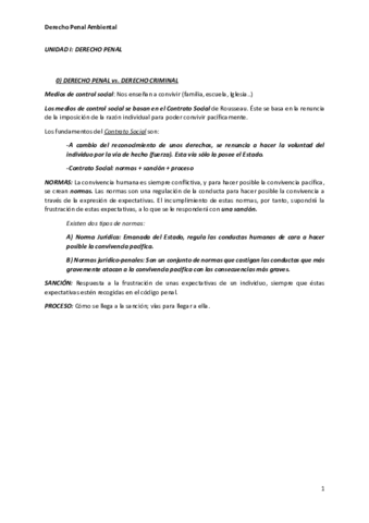 Derecho Penal - Temas 1- 2 y 3.pdf