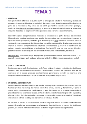 Apuntes Didáctica de la Historia.pdf