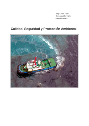Calidad- Seguridad y Protección Ambiental - Asignatura Completa.pdf