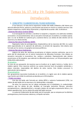 Temas 16- 17, 18 y 19. Tejido nervioso..pdf