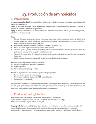 T13 producc de aa.pdf