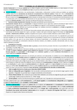 TEMA 1 CONSTITUCIONAL III.pdf