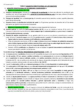 TEMA 9 CONSTITUCIONAL III.pdf