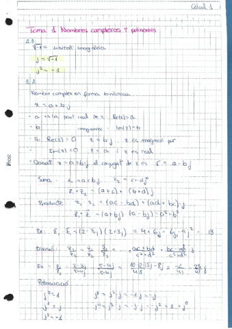 T1.Nombres complexos i polinomis.pdf
