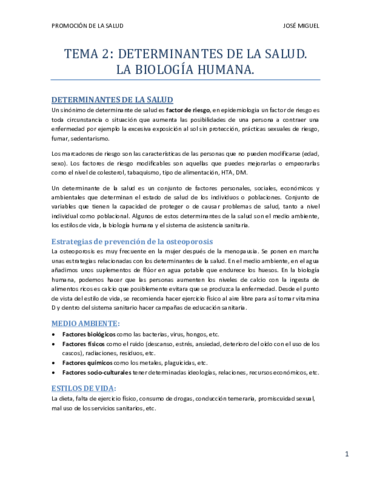 TEMA 2.pdf