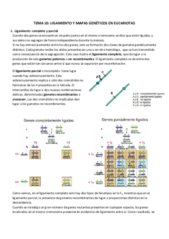 TEMA 10_ LIGAMIENTO Y MAPAS GENÉTICOS EN EUCARIOTAS.pdf