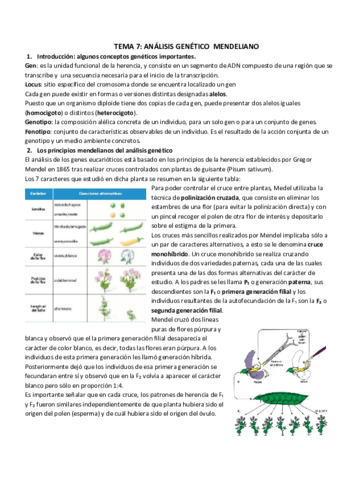 TEMA 7_ ANÁLISIS GENÉTICO  MENDELIANO.pdf