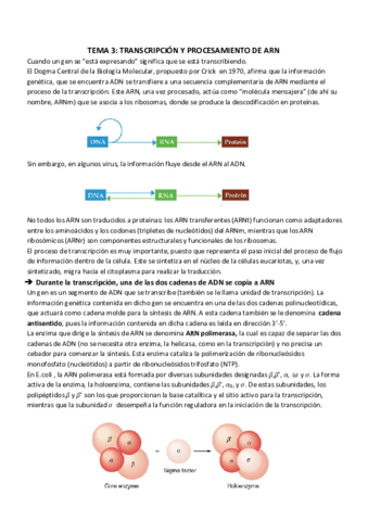 TEMA 3_ TRANSCRIPCIÓN Y PROCESAMIENTO DE ARN.pdf