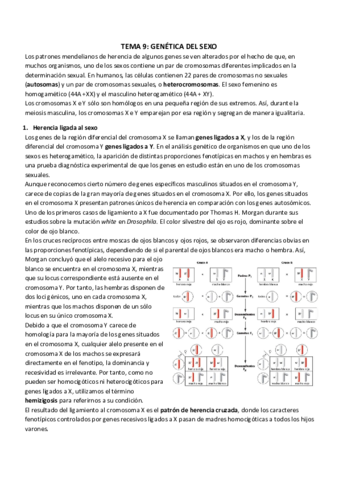 TEMA 9_ GENÉTICA DEL SEXO.pdf