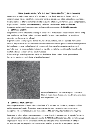TEMA 5_ ORGANIZACIÓN DEL MATERIAL GENÉTICO EN GENOMAS.pdf