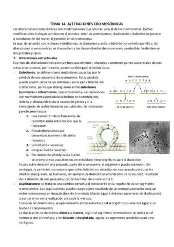 TEMA 14_ ALTERACIONES CROMOSÓMICAS.pdf