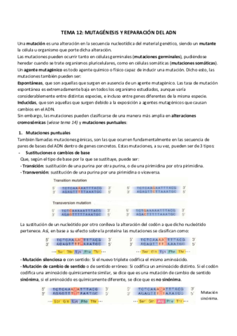 TEMA 12_ MUTAGÉNESIS Y REPARACIÓN DEL ADN.pdf