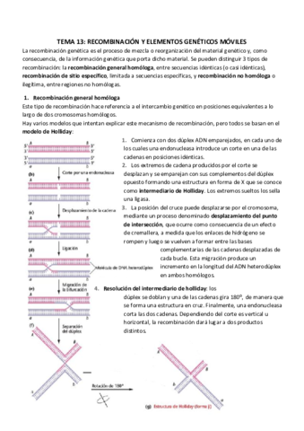 TEMA 13_ RECOMBINACIÓN Y ELEMENTOS GENÉTICOS MÓVILES.pdf
