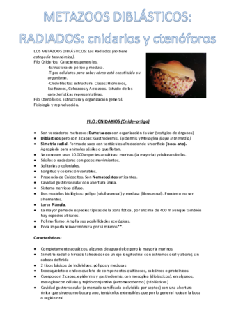 T5-converted.pdf
