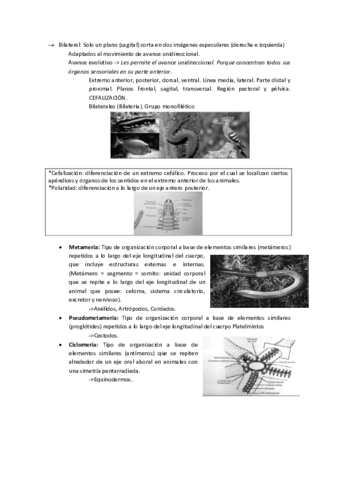 T22.pdf