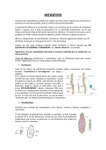 T4.pdf