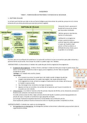 TEMA-7-PURIFICACION-DE-PROTEINAS-Y-ESTUDIO-DE-SU-SECUENCIA.pdf