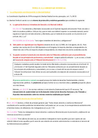 TEMA-2-DeS.pdf