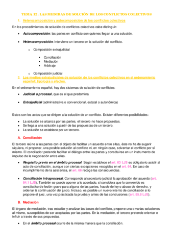 TEMA-12-DeS.pdf