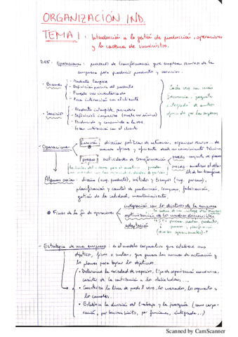 Resumenes-Organizacion-Industrial.pdf