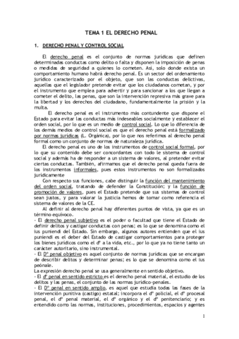 TEMAS-DERECHO-PENAL-I-.pdf