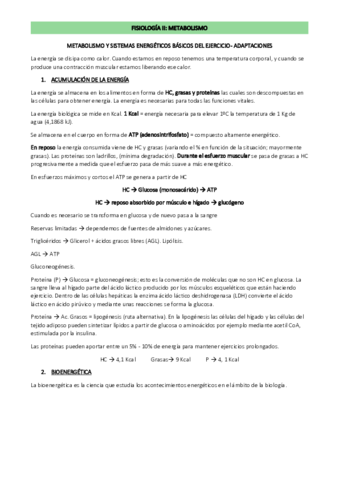 TEMA-O-METAB.pdf