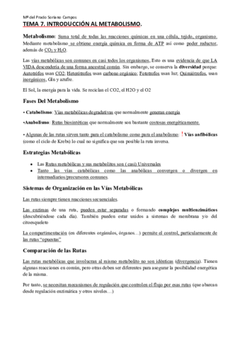 Apuntes-bloque-II-.pdf