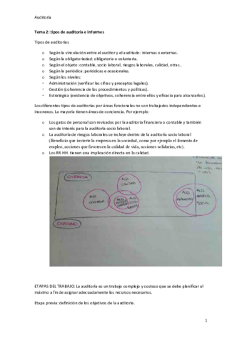 TEMA-2-AUDITORIA-DE-RRHH.pdf