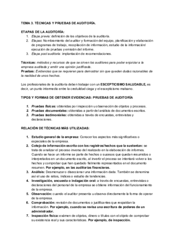 TEMA-3-AUDITORIA-DE-RH.pdf