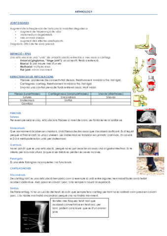 ARTHROLOGY.pdf