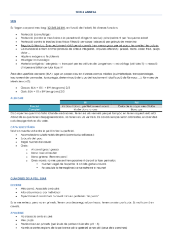 SKIN.pdf