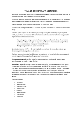 TEMA-14.pdf