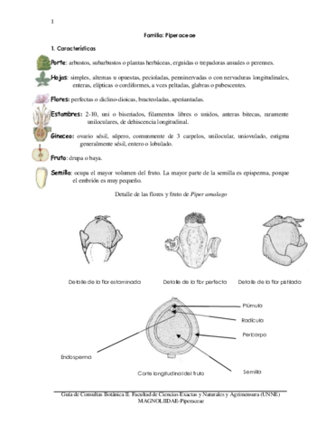 Botanica.pdf