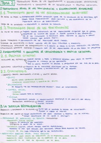 Tema-2-PENAL.jpeg