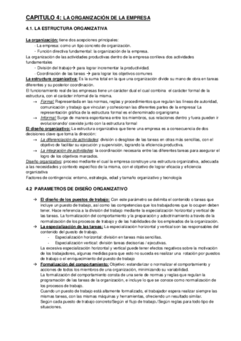 CAPITULO-4-LA-ORGANIZACION-DE-LA-EMPRESA.pdf
