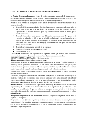 TEMAS-DIRECCION-ESTRATEGICA.pdf