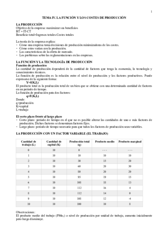 TEMA-IV-LA-FUNCION-Y-LOS-COSTES-DE-PRODUCCION.pdf