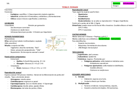 Resumenes-T9.pdf