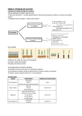 Tema-5-FR.pdf
